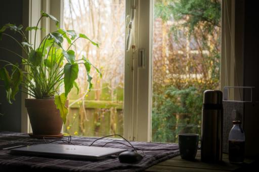 Four tomatoes, a VPN, and a closed to-do list: easy and smart tools to balance study, work, and life