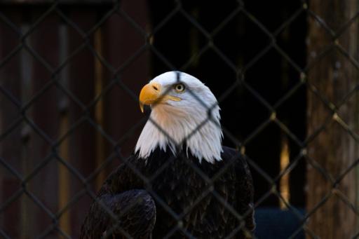 VPNs face potential bans in the US and beyond — this is not a drill