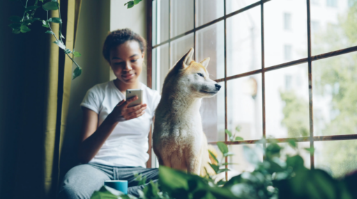 AdGuard VPN para Android v2.16: só mais um lançamento