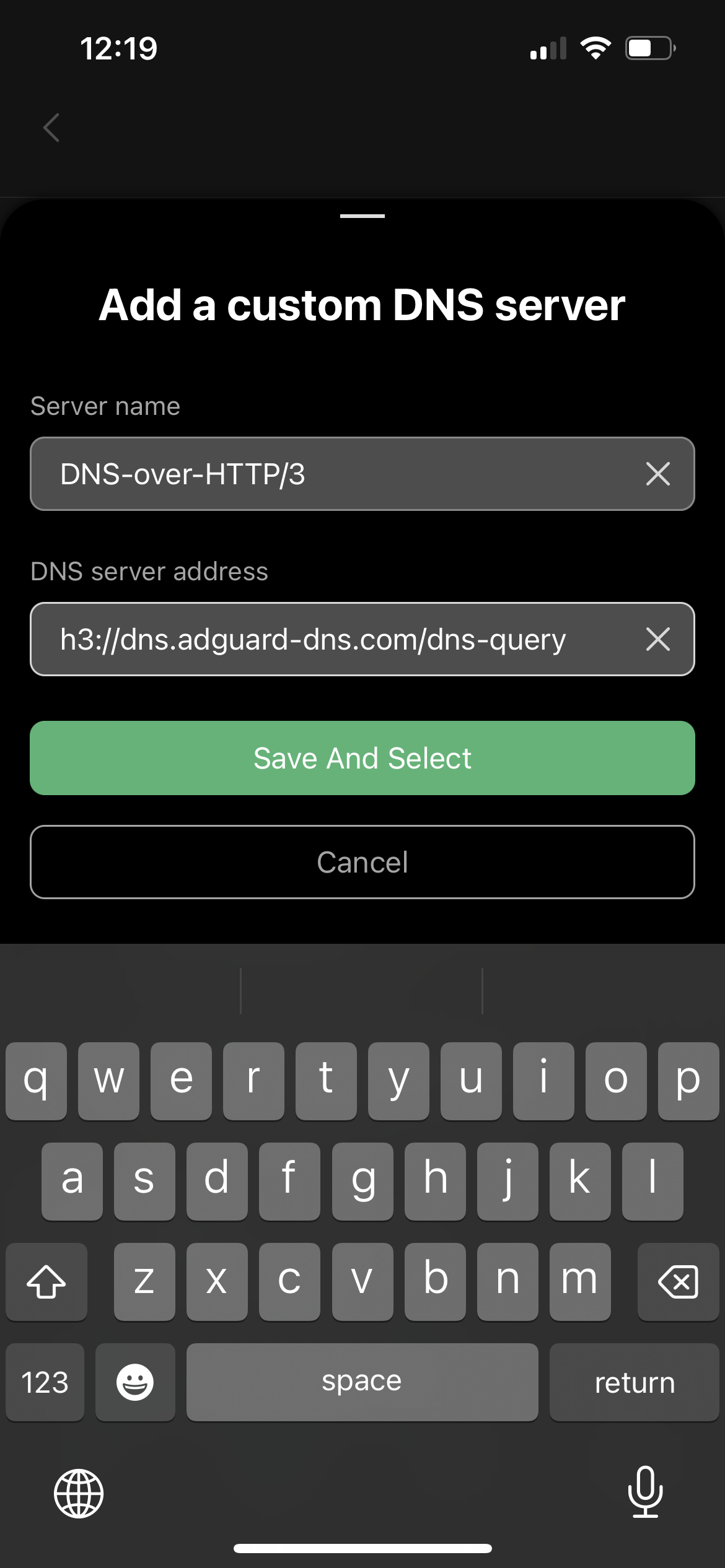 Adding a custom DNS server *mobile