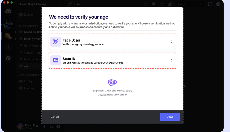 Pantalla de verificación de edad de Discord