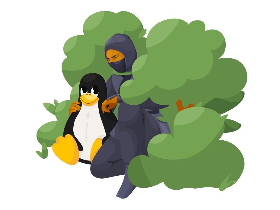 AdGuard VPN pour Linux