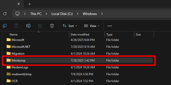 Minidump file