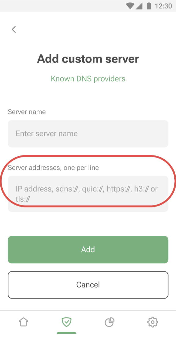 Custom DNS server *mobile_border