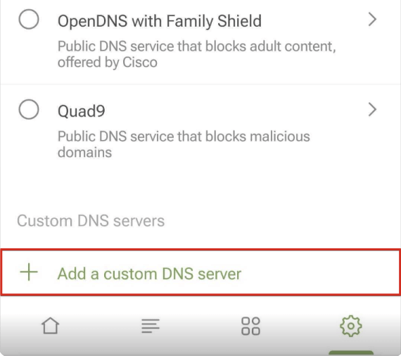 Add a DNS server *mobile_border