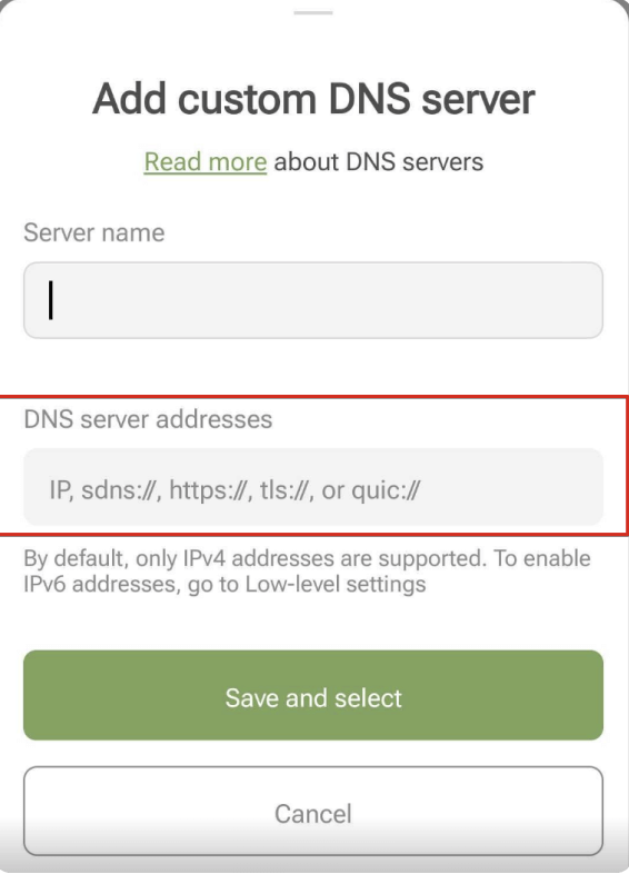 Custom DNS server *mobile_border