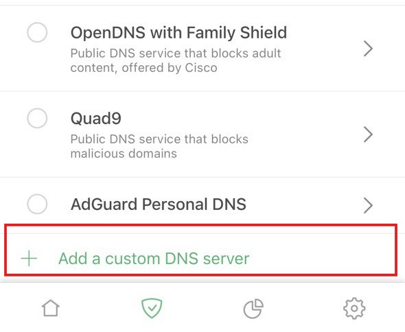 Add DNS server *mobile_border