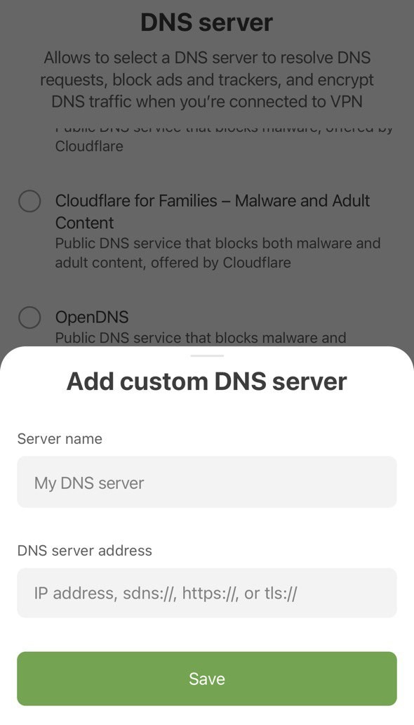 Custom DNS server *mobile_border