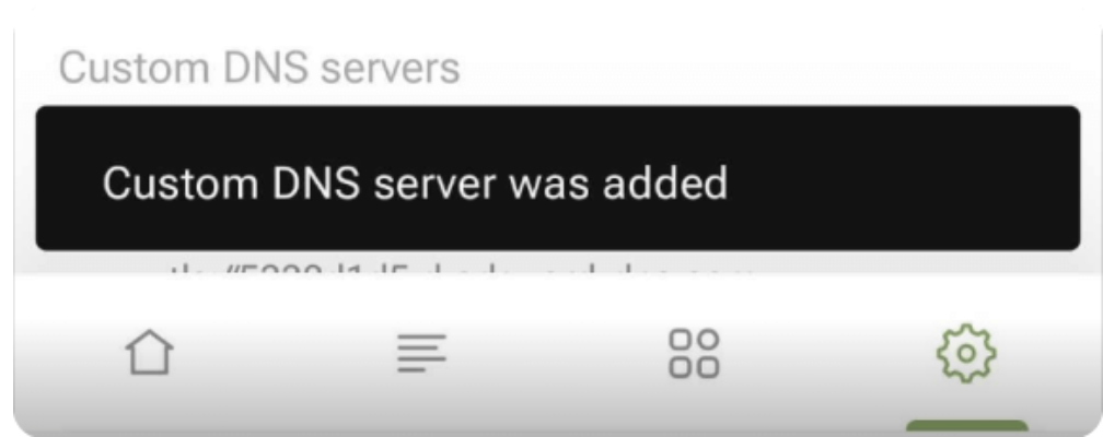 Custom DNS servers *border