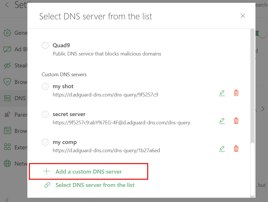 Add a custom DNS server *border