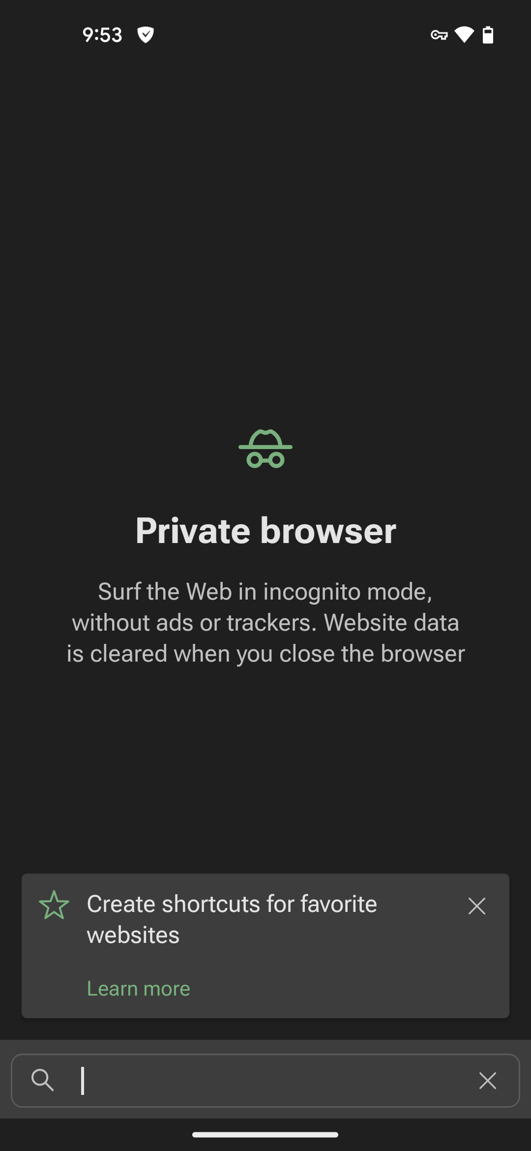 Private browser