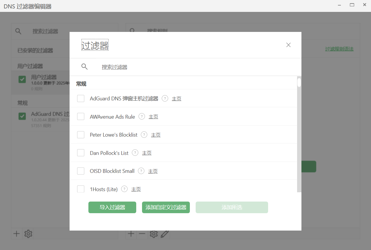 DNS 过滤器 *border
