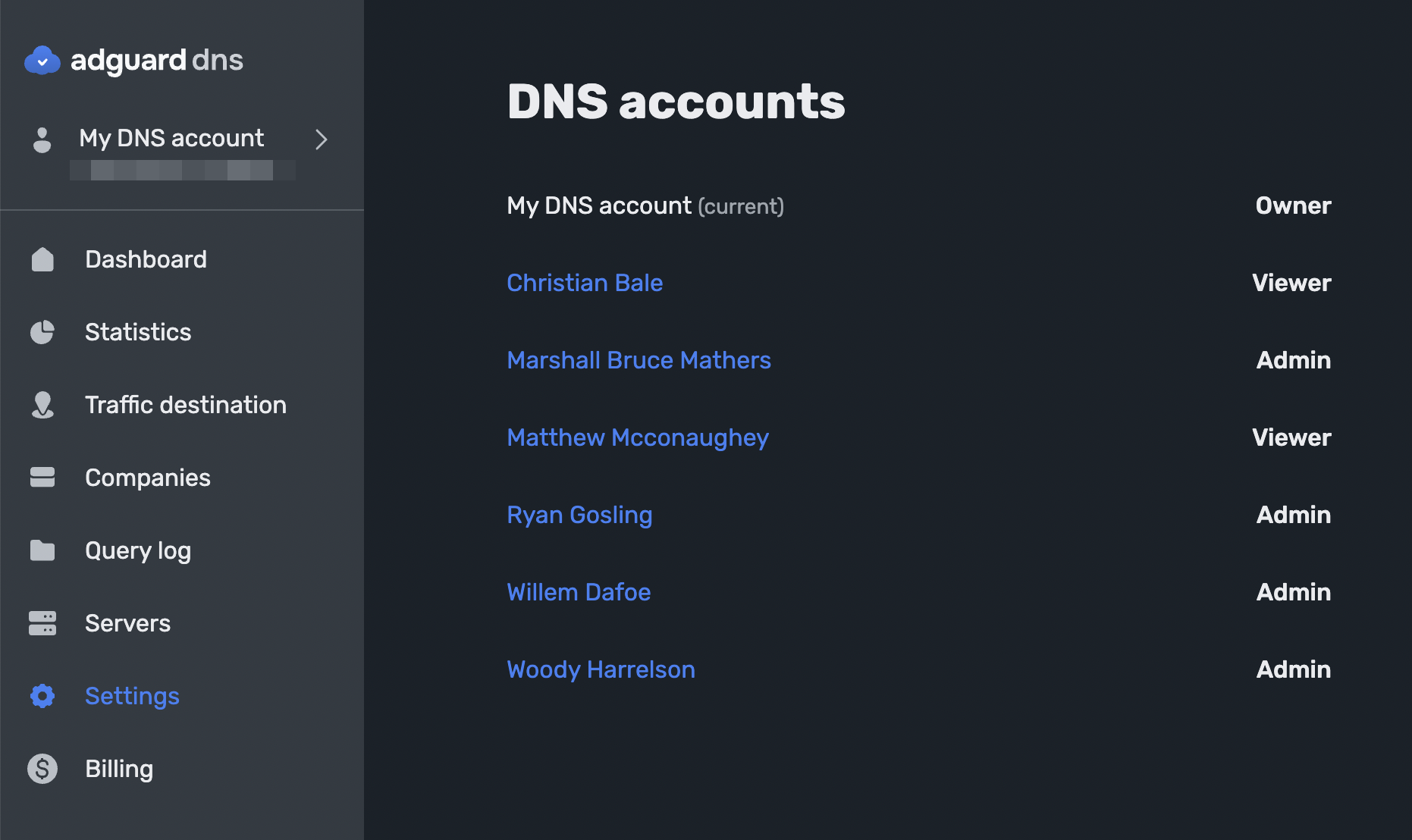 Multiple DNS accounts