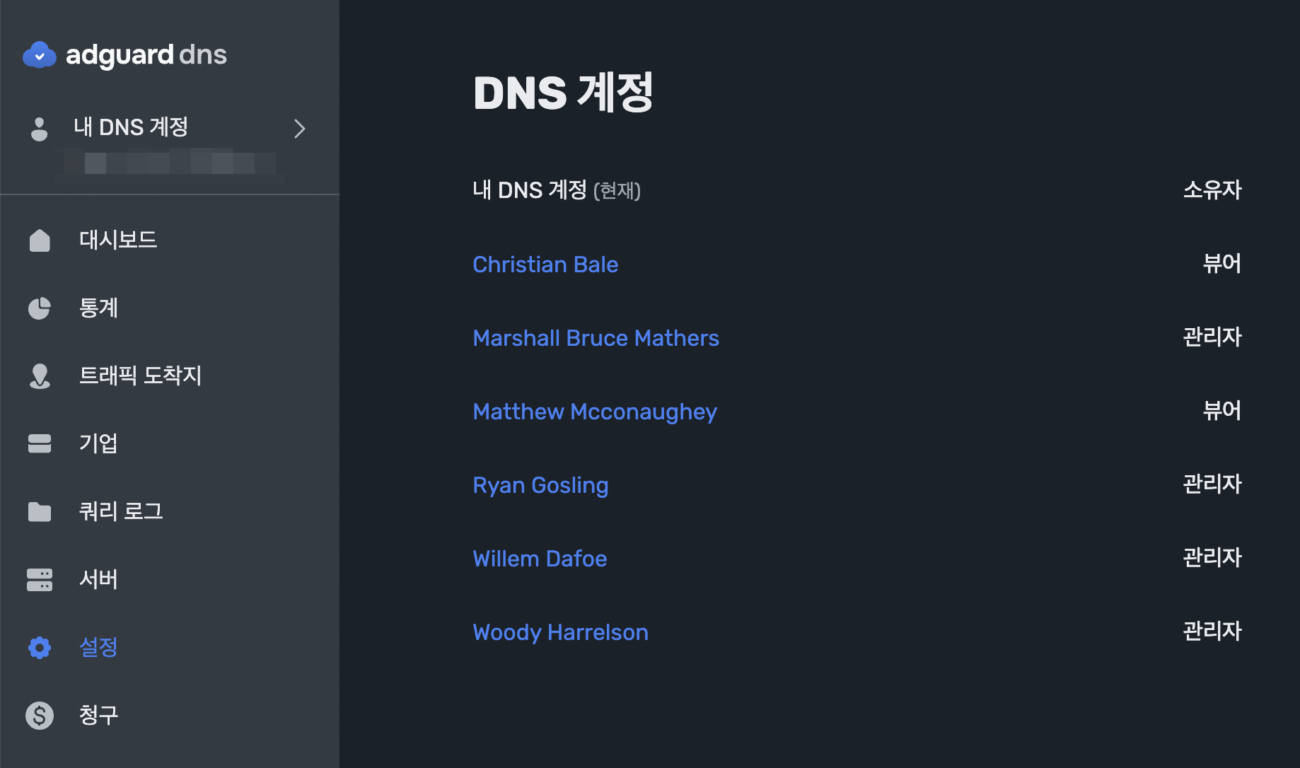 여러 DNS 계정
