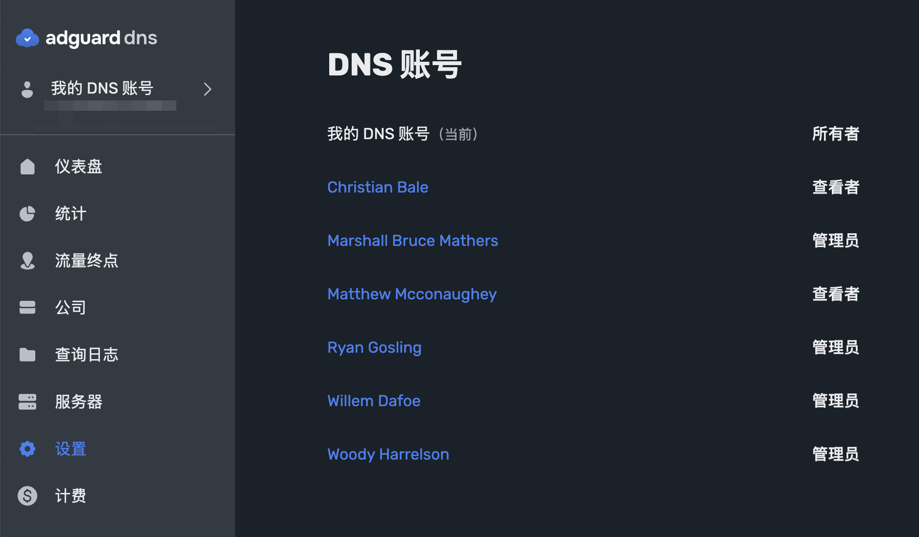 多种 DNS 账号