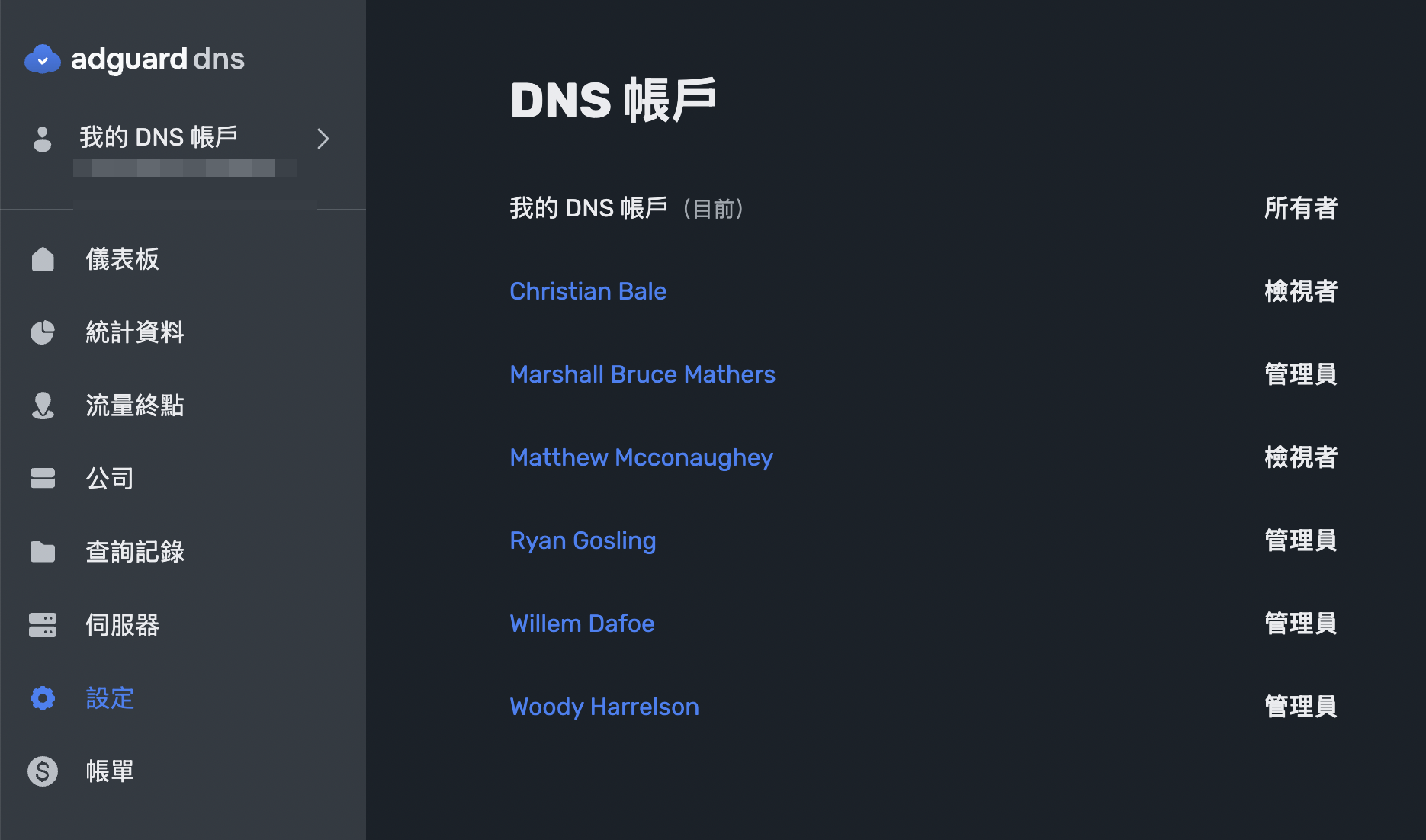 多種 DNS 帳戶