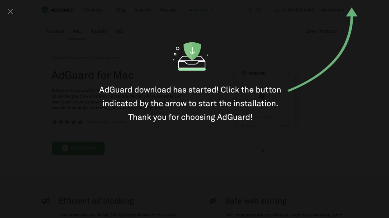 get rid of adguard icon on browser