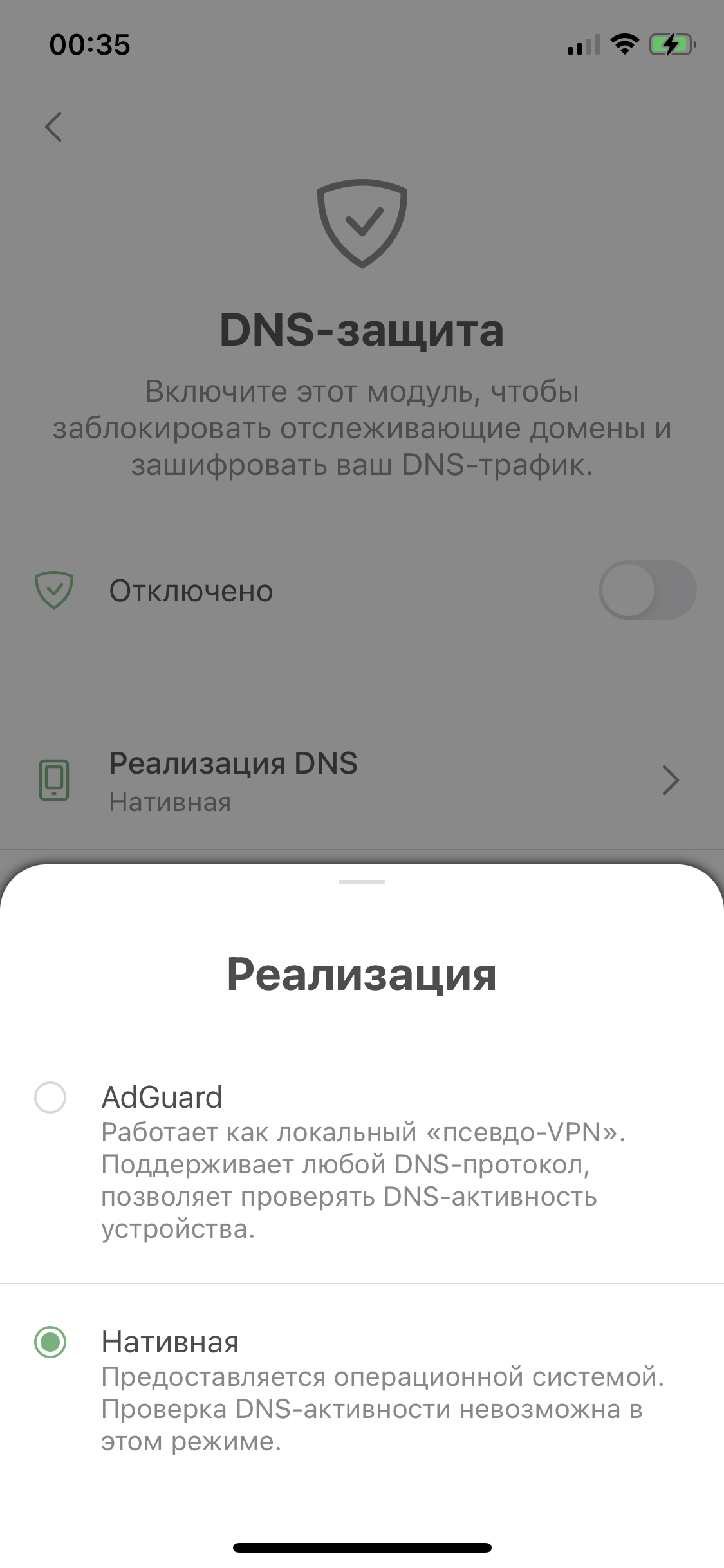 Экран реализации DNS *mobile_border